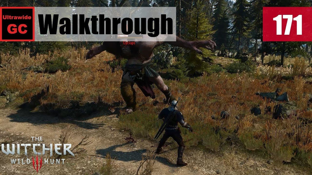 The Witcher 3: Wild Hunt [#171] - Skellige: Hard Times || Walkthrough