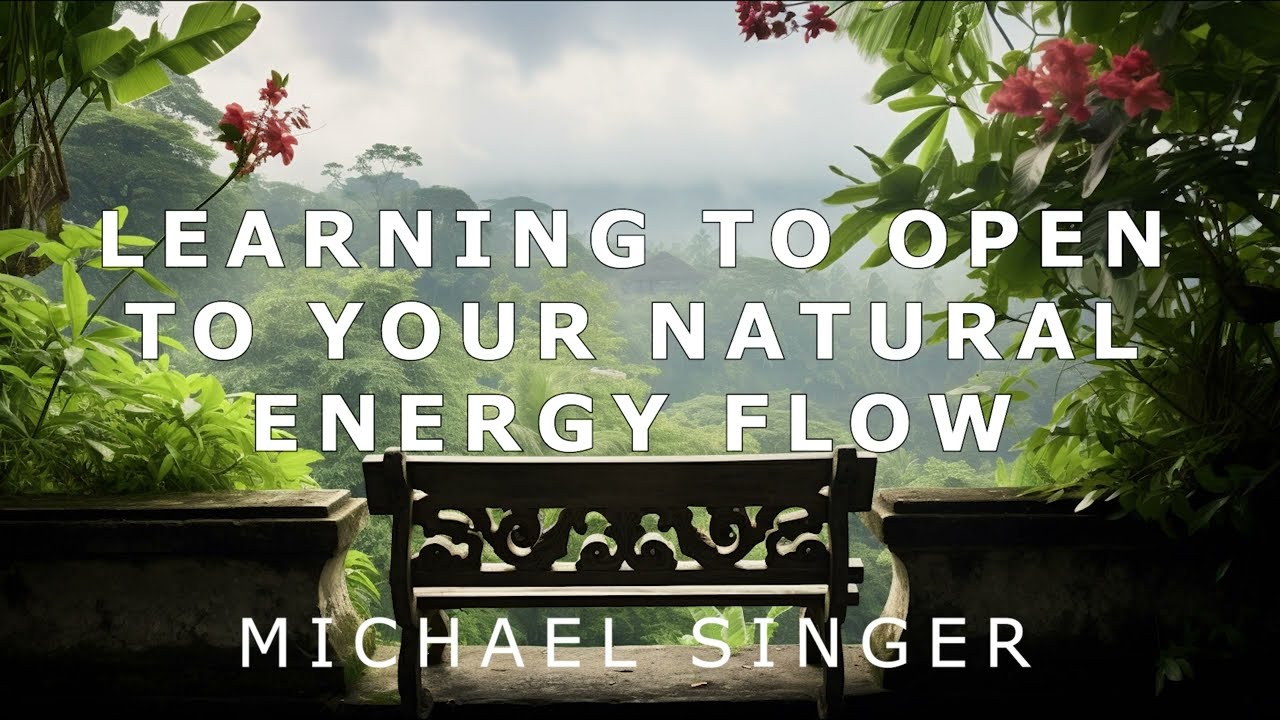 Michael Singer - Learning to Open to Your Natural Energy Flow