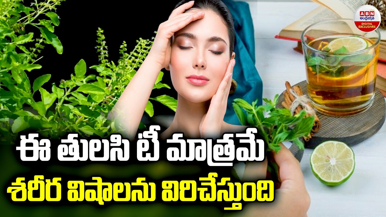 ఈ తులసి టీ మాత్రమే శరీర విషాలను విరిచేస్తుంది | Tulasi Leaves Health Benfits | ABN Digital