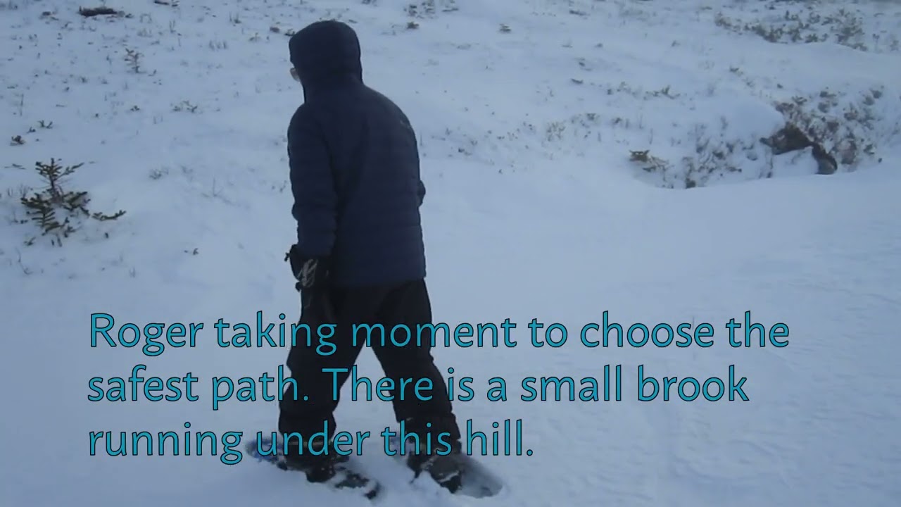 Snowshoeing at Pasadena Ski & Nature Park and across the open country of Isle Aux Morts ! #snowshoe