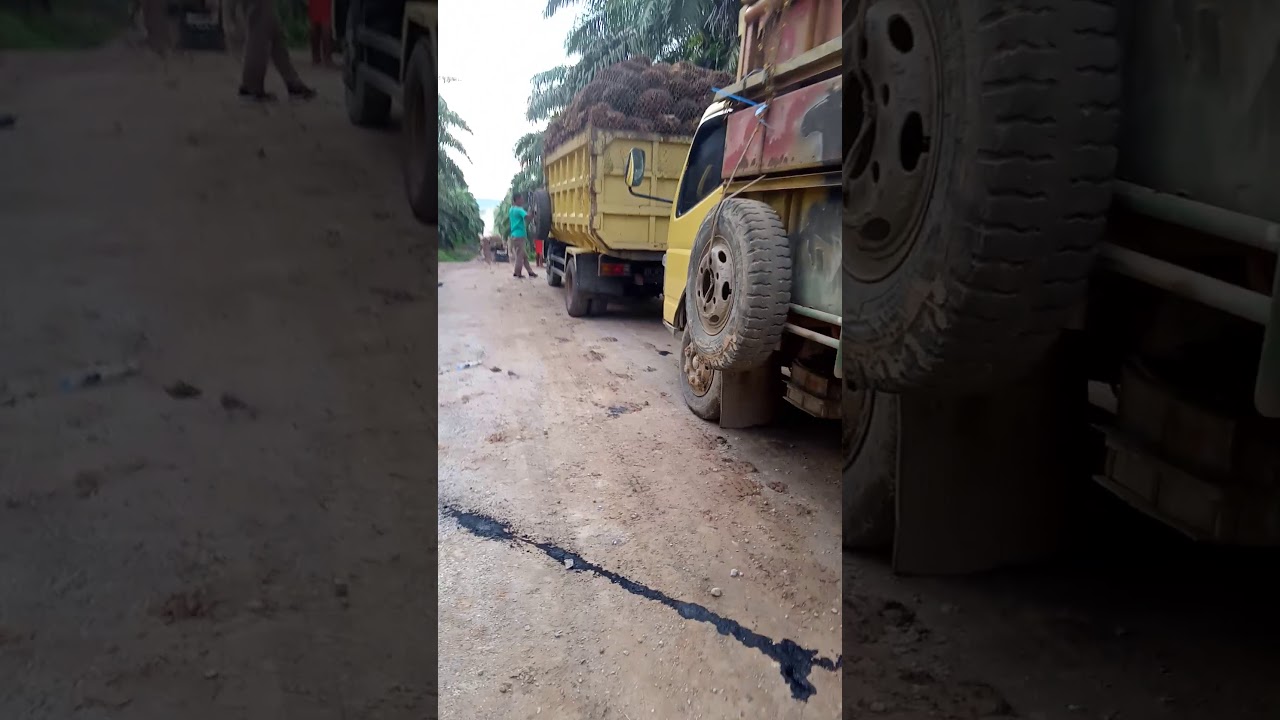 Jalan Pt ksup-pt.rwk