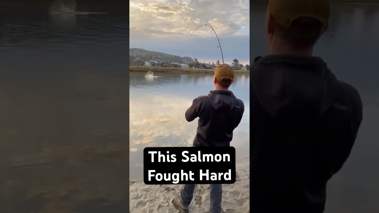 Hard fighting Chinook | Nestucca Bay, Oregon #fishing #salmon #outdoors