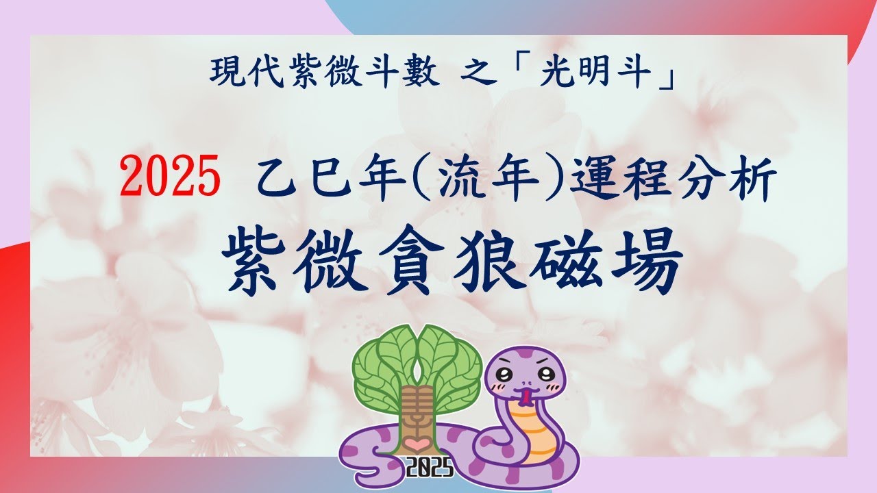 紫微貪狼磁場之紫微斗數2025乙巳年流年運程分析@林麗老師