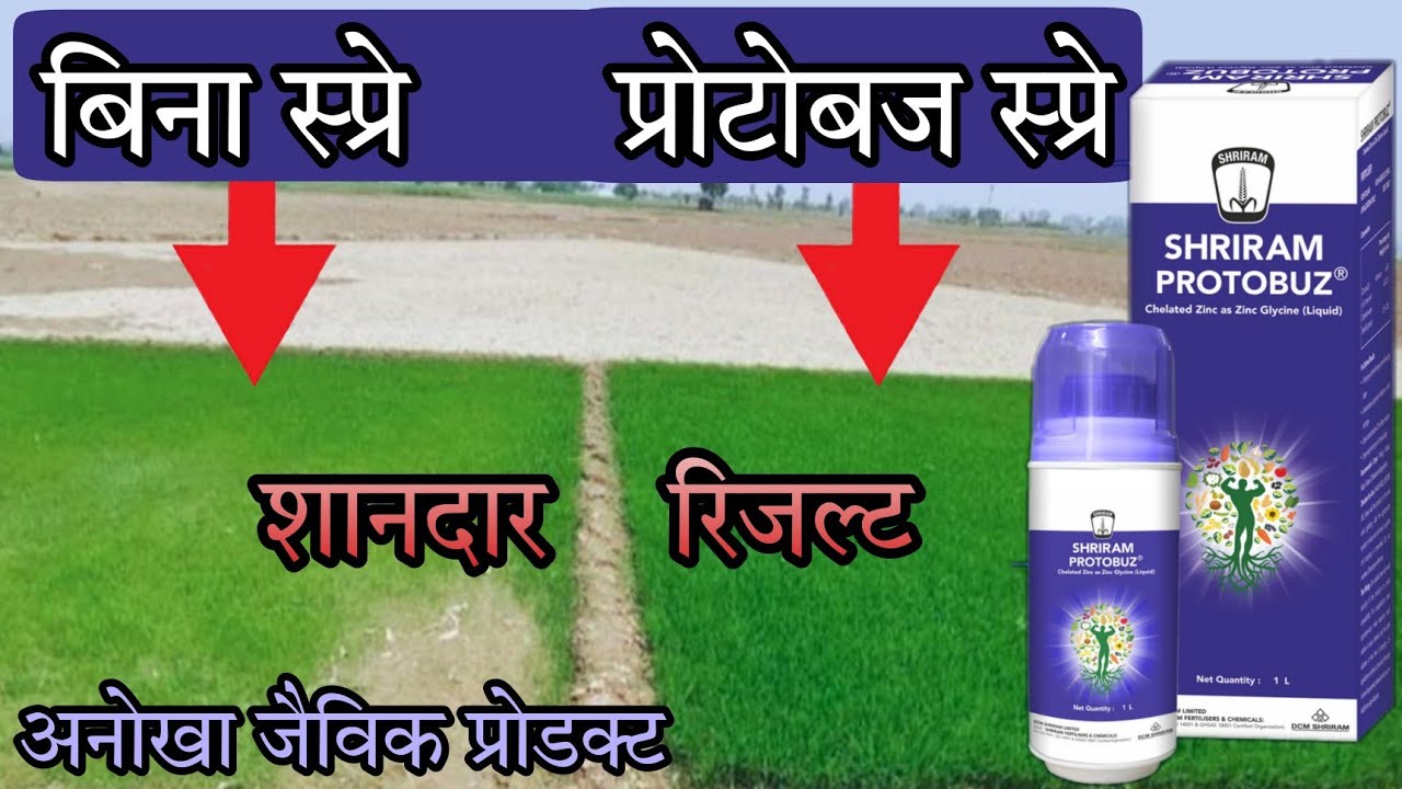 shriram protobuz |श्रीराम प्रोटोबज के शानदार फायदे| organic liquid fertilizer