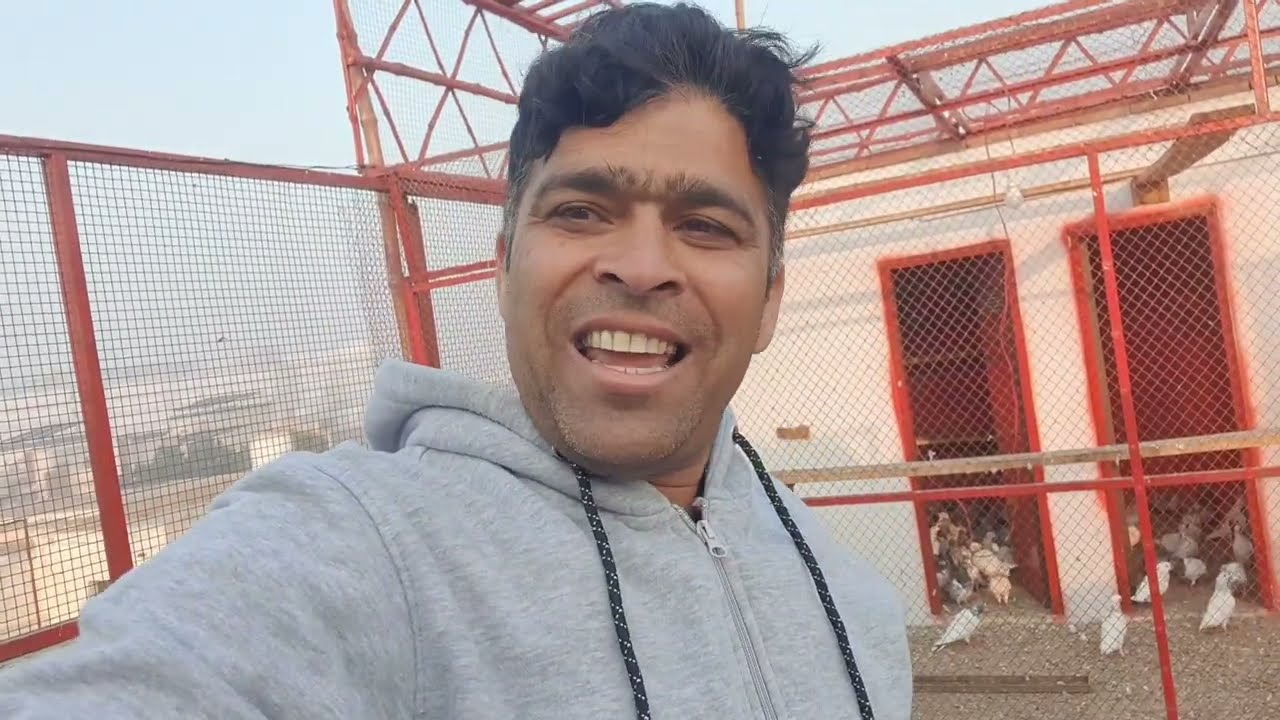 Chiri Mari chasaa wali || Lakhi Madi pakri Bachy B sab Uraye 