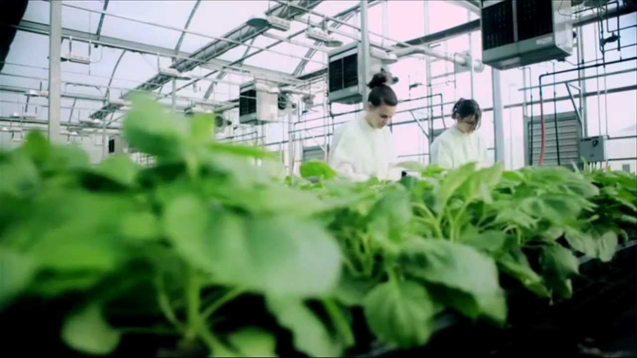 Agricultural Biotechnology: Accelerating Economic Opportunities in North Carolina UPDATE