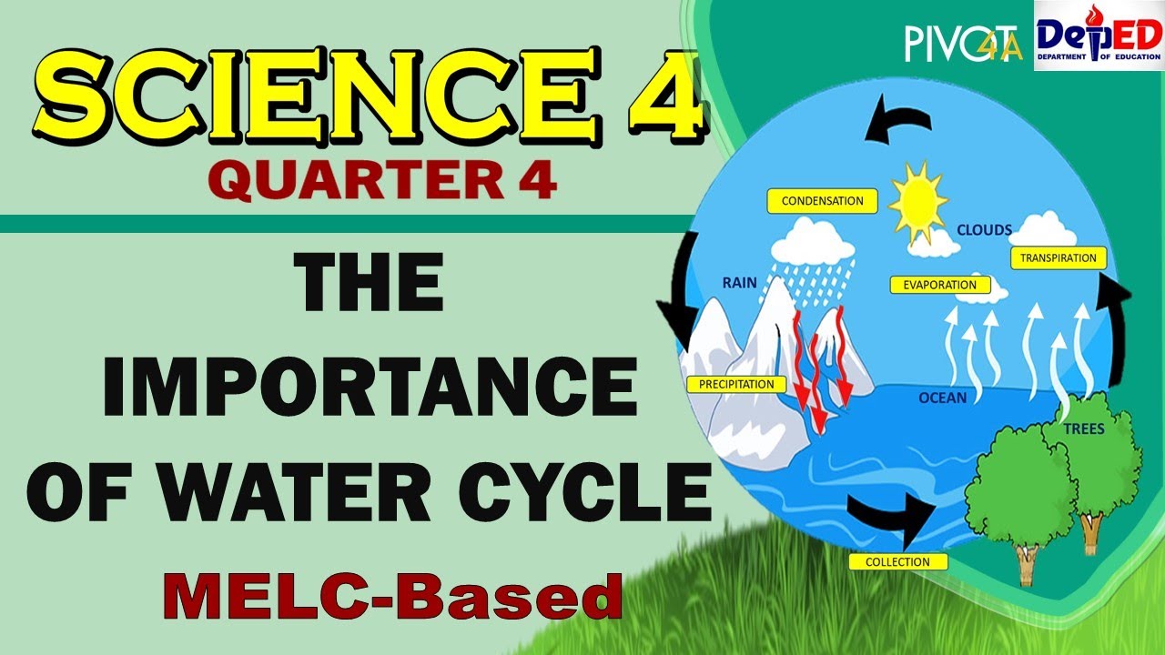 The Importance of Water Cycle | SCIENCE 4| QUARTER 4| WEEK 3