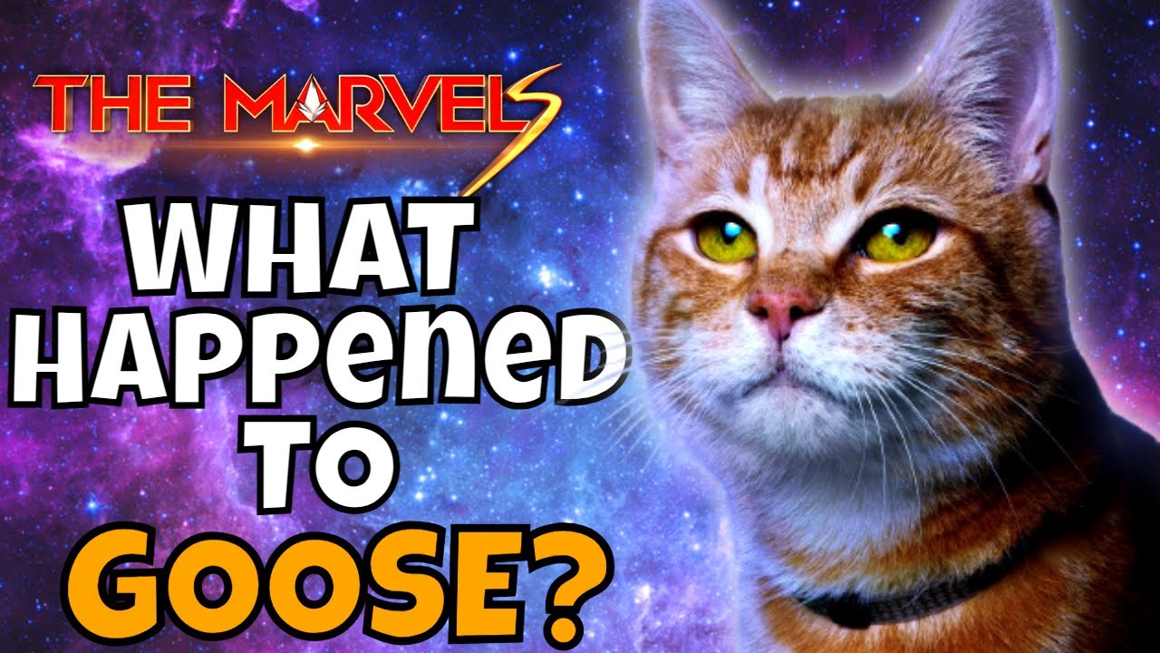Что случилось с ГУЗОМ? Котёнок Флеркен из Marvel! Новости киновселенной Marvel