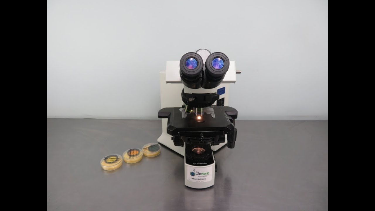 Olympus BX 51 Research Microscope