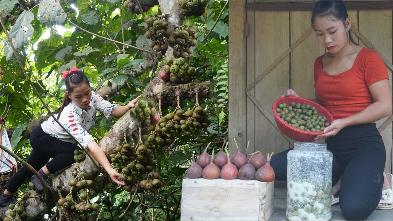 The girl lives in the wild, finds wild fruits and harvests them to store for the winter