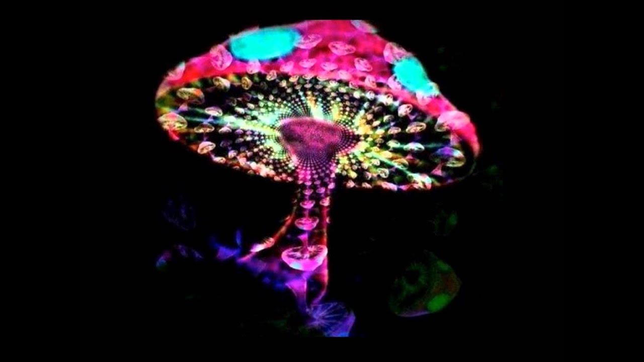 Infected Mushroom- Sleeping [May Be] [Unreleased Track]