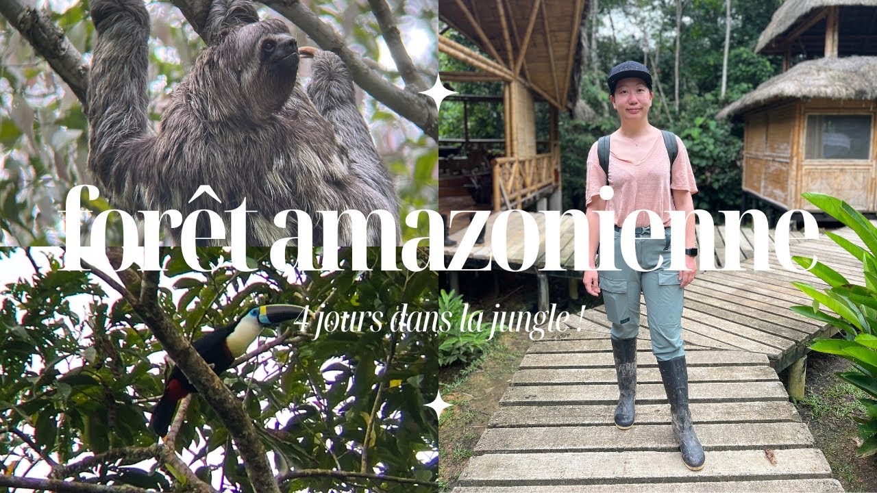 VLOG 🐒 4 jours dans la forêt amazonienne en Équateur ! (Réserve Cuyabeno) | La gazette beauté