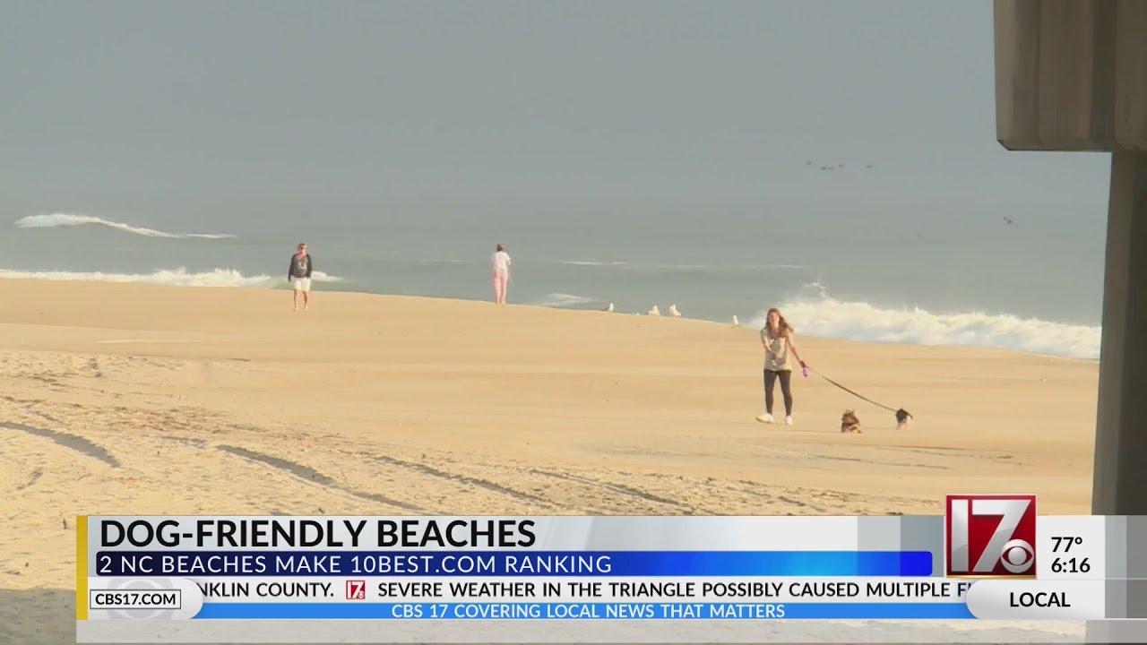 2 NC beaches make list of most dog-friendly in US