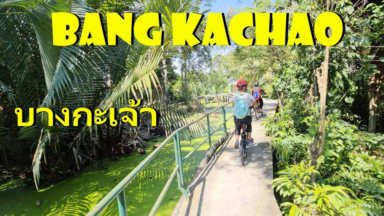 บางกะเจ้า Bangkok Sunday Morning Bicycle Tour Bang Kachao Green Lung