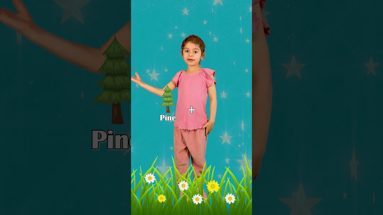 Neva's SUPER FUN Compound Words for KIDS
