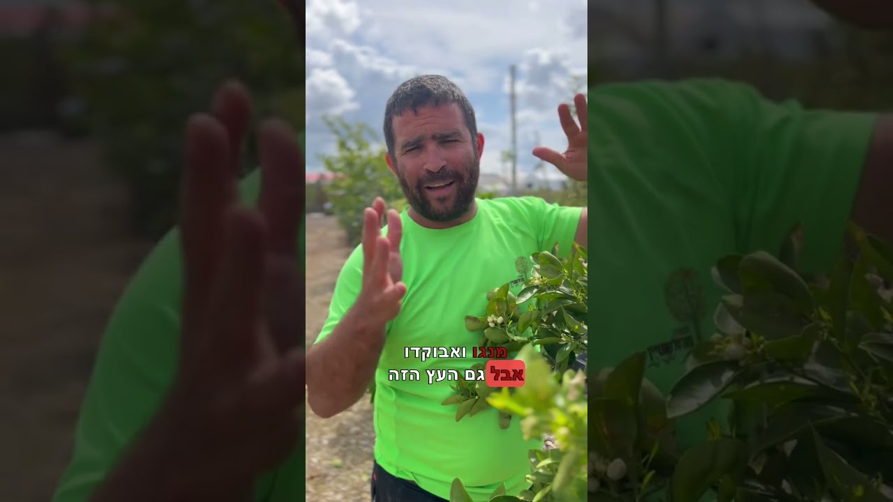 5 טיפים שיוציאו מעצי ההדר שלכם את המיטב!