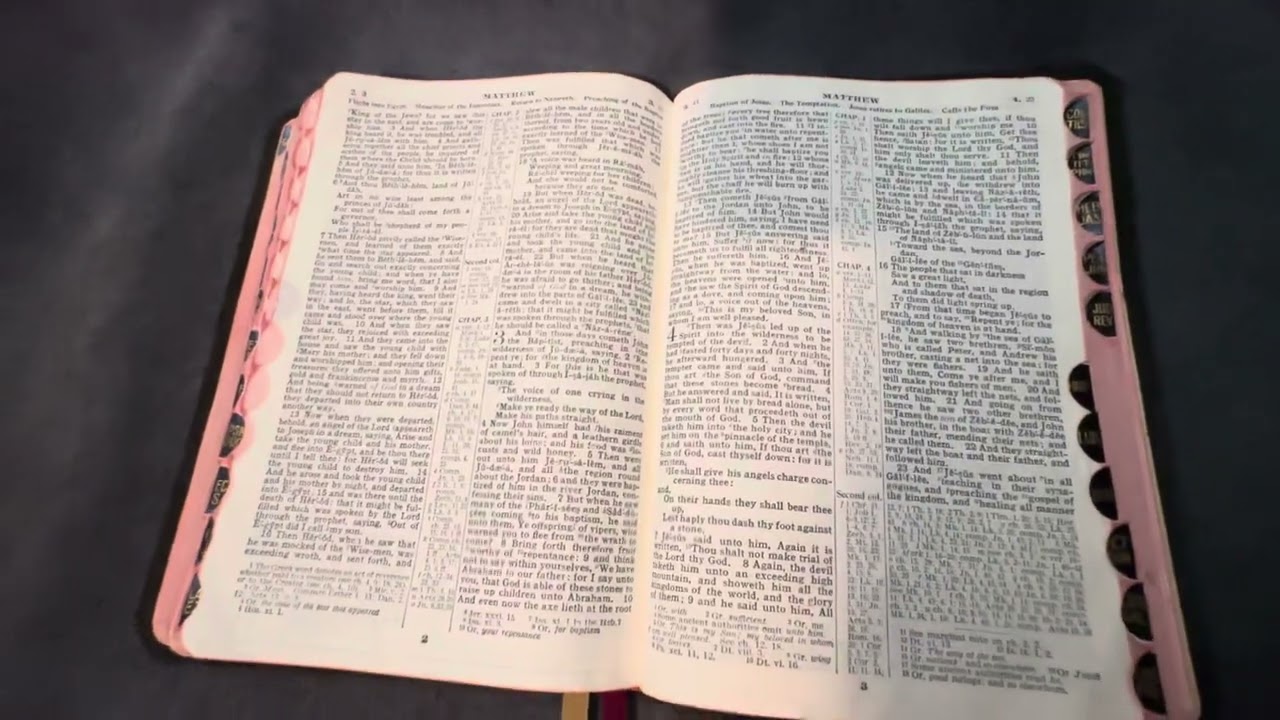 ASV AMERICAN STANDARD VERSION 1901 1929 Bible genuine leather rebind holybound