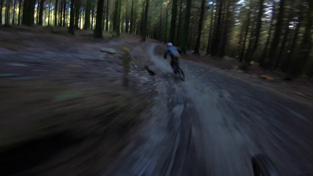 2020 Specialized kenevo