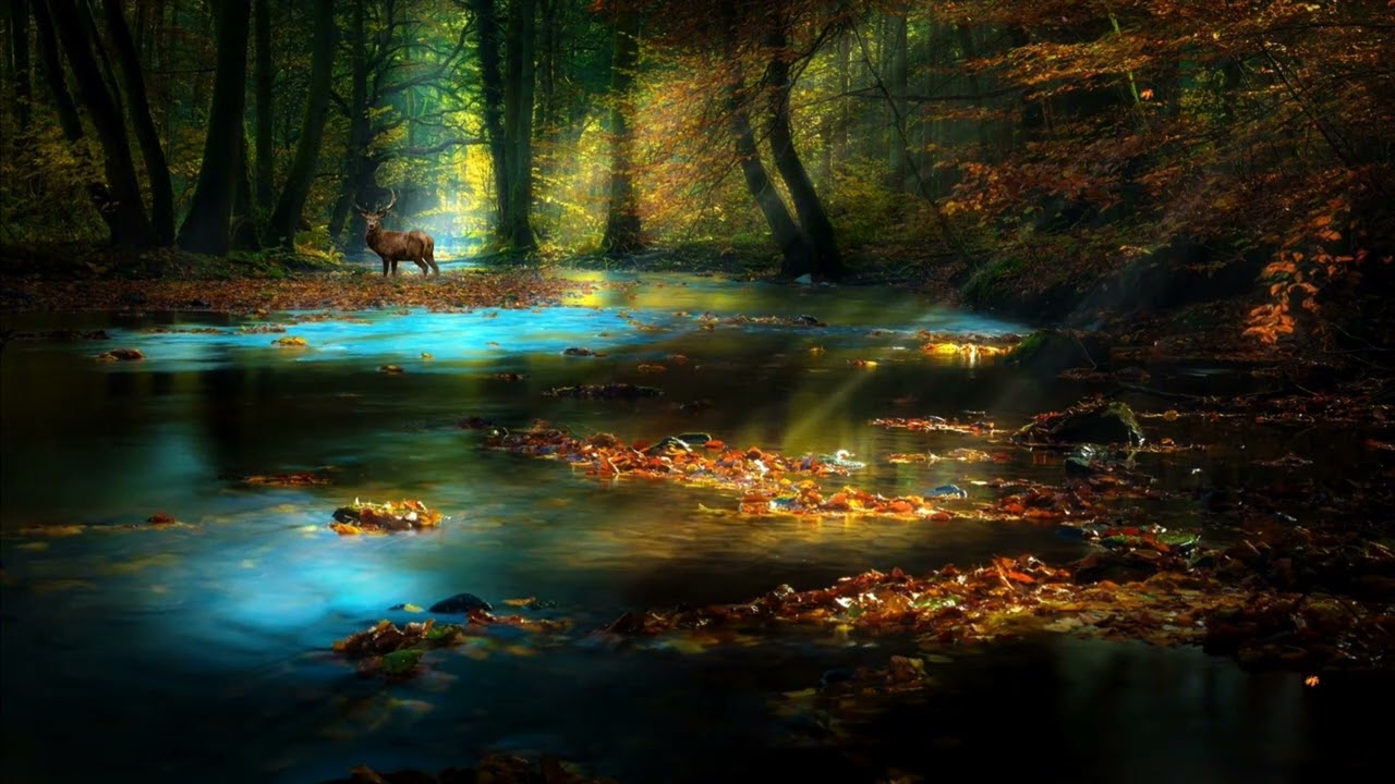 Relaxing River Sounds 🌊 Calm Water & Peaceful Music ✨ | Sonidos de Río Relajantes 🎶 Paz y Naturaleza