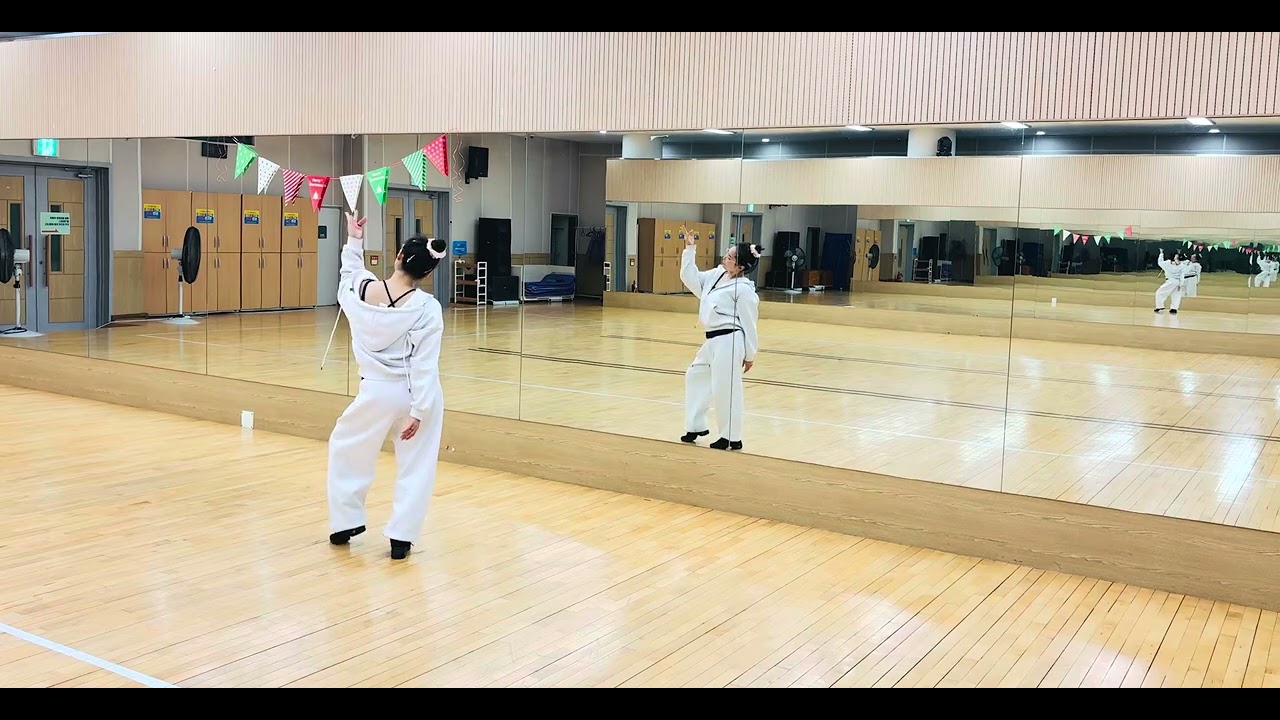 [K-pop]DANCE MIRROR HWASA(화사)_Good Goodbye(굿굿바이) 거울모드 