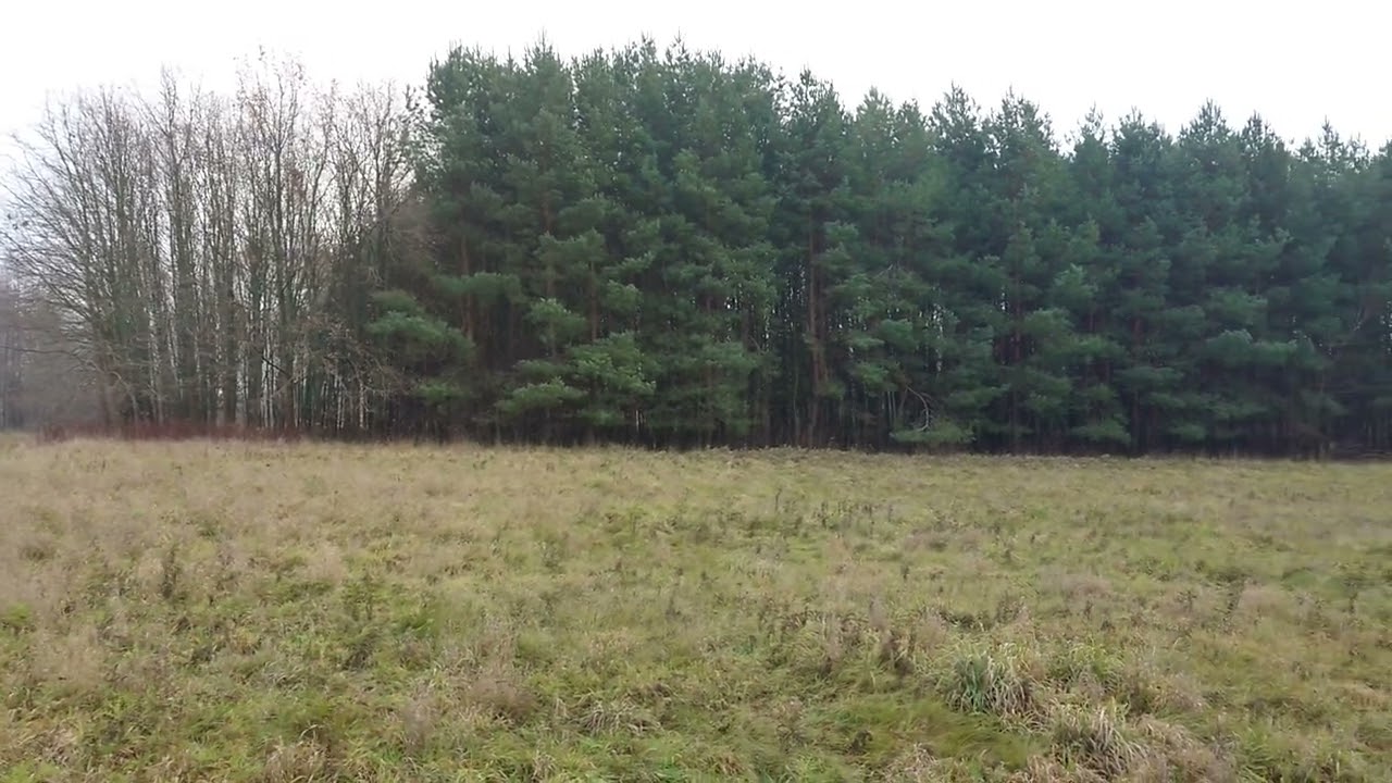 10x działka budowlana 1100m2 + działka rolno-leś. Nowodw&oacute;r k/ Siennica, tel. 667-339-808