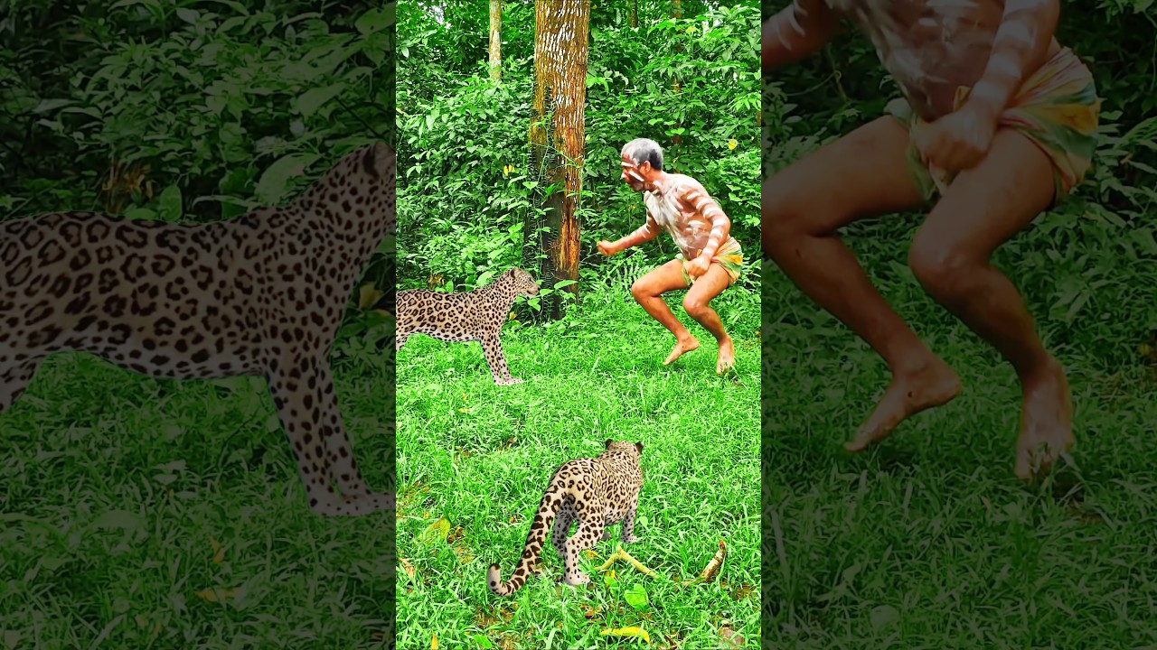 Leopard attacks #wildlife #jungle #viralvfx #viralvedio #viralshorts #trendingshorts #shorts #brazil