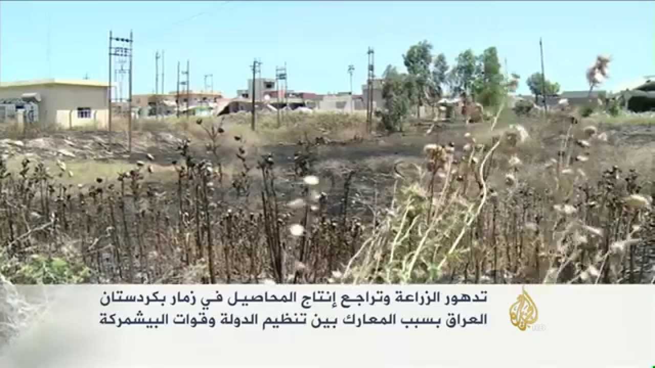 تدهور الزراعة في زمار بعد معارك 