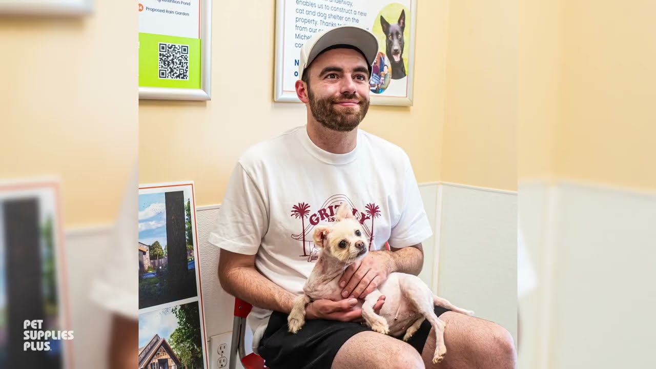 Shelter Shoutout: Furkids
