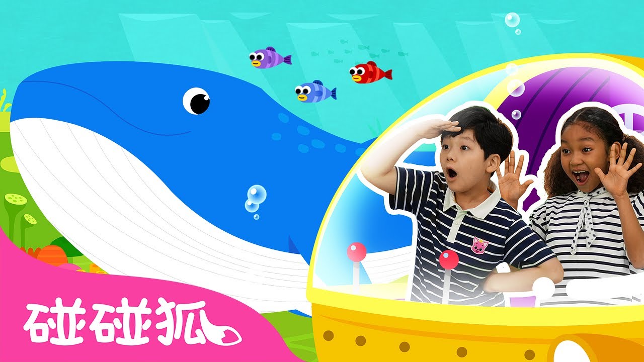 鲸鱼大王｜一起跳｜Blue Whale｜唱跳儿歌｜人气儿歌｜儿童歌｜精选儿歌｜中文儿歌｜碰碰狐儿歌｜碰碰狐Pinkfong