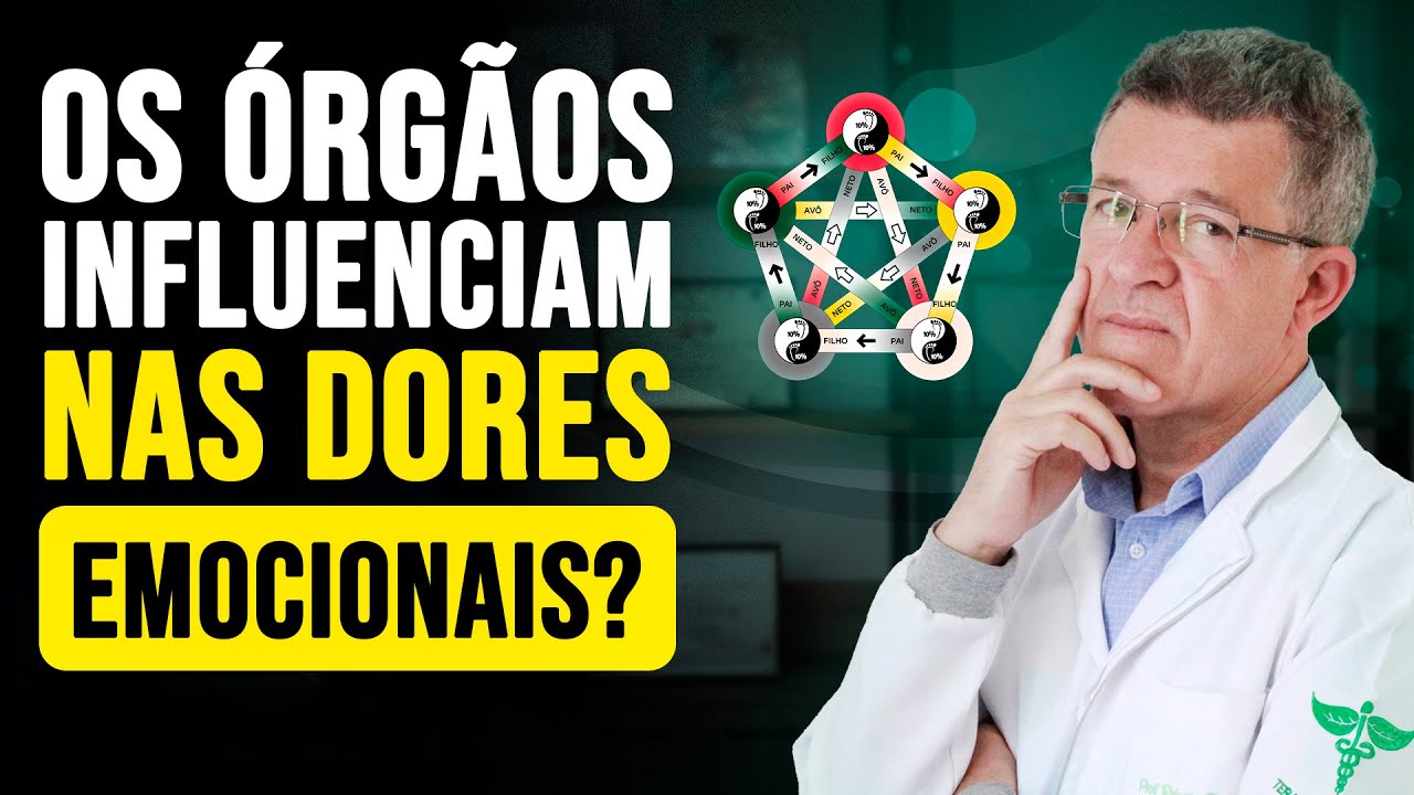 ⏩Aula 08 - As Conexões Invisíveis Entre Órgãos, Emoções e Sintomas Segundo os 5 Elementos da MTC