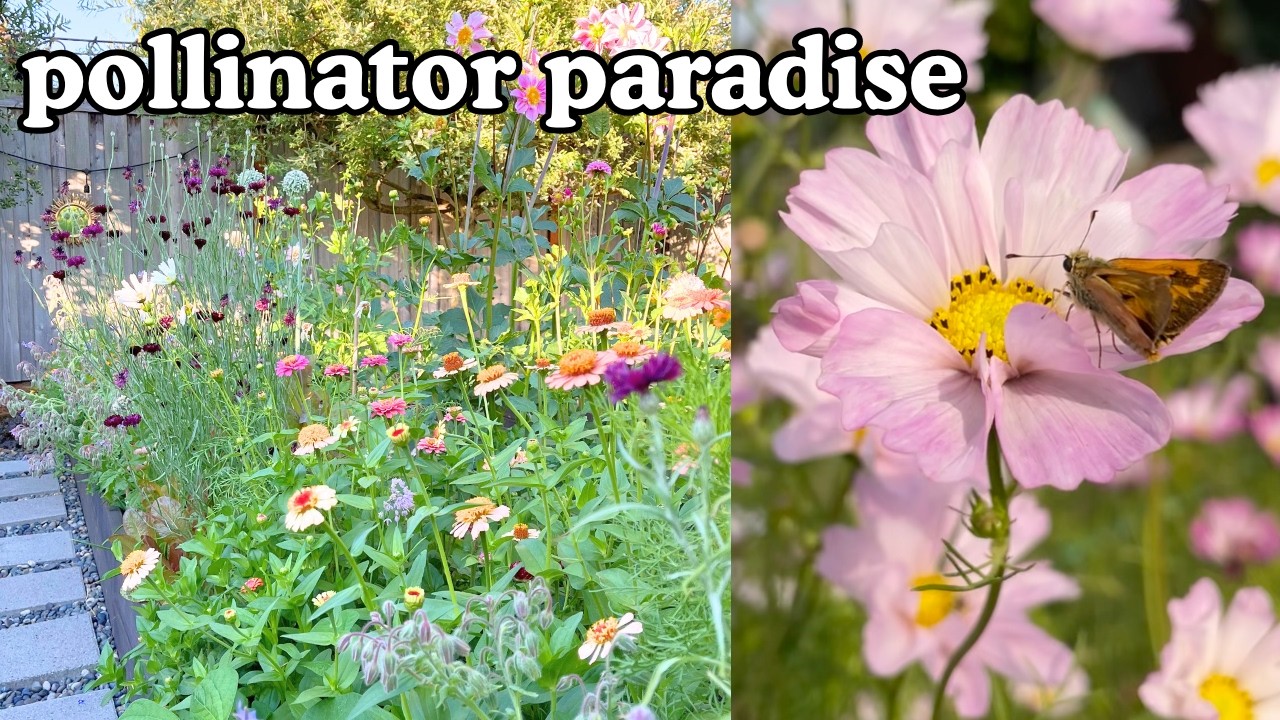 designing a cut flower garden the pollinators will love | planning my low maintenance cottage garden