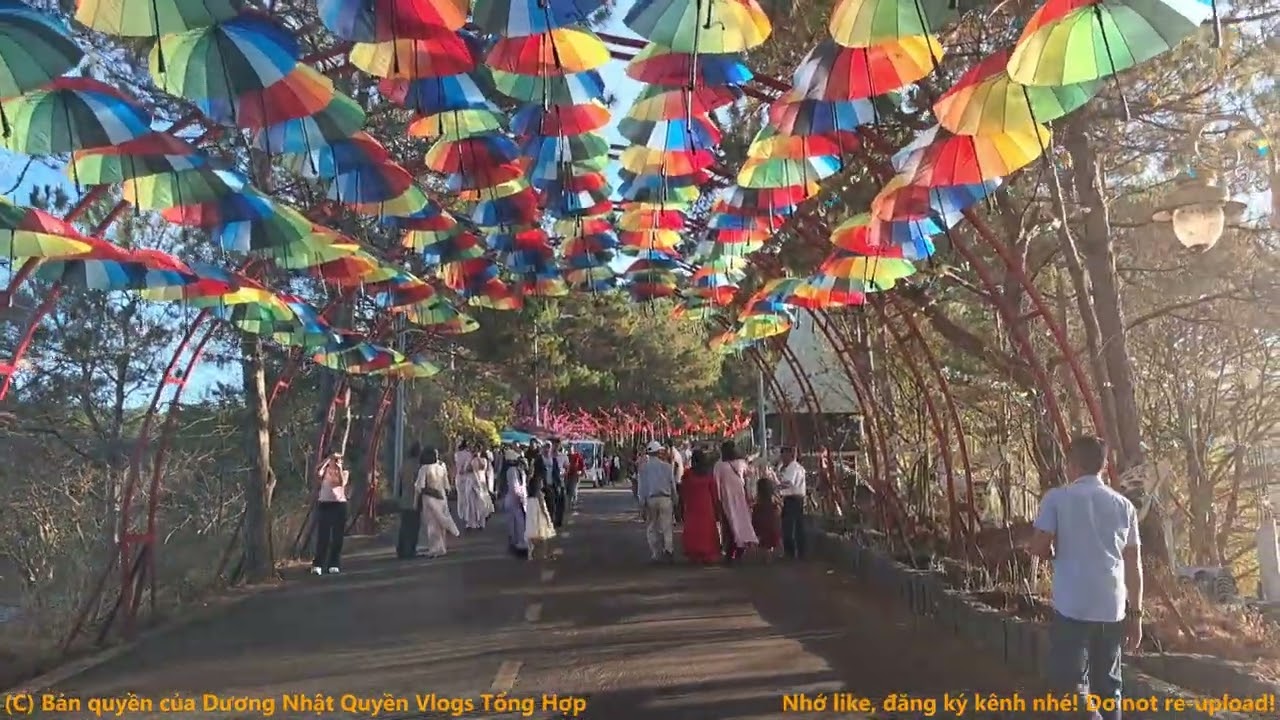 Vlogs #421: Phong Cảnh Biển Hồ (Hồ T'Nưng) Mới Nhất 2026 #gialai #pleiku #biểnhồ