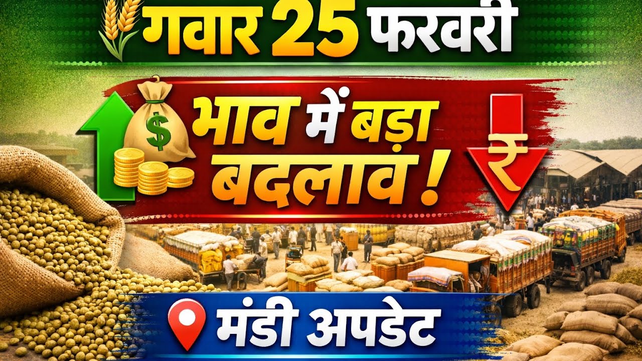 25 फरवरी ग्वार भाव | आज तेजी आएगी या गिरावट? | किसान फैसला