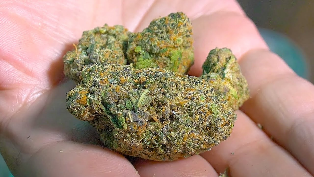 Is This Bud Worth Packing a Bowl?