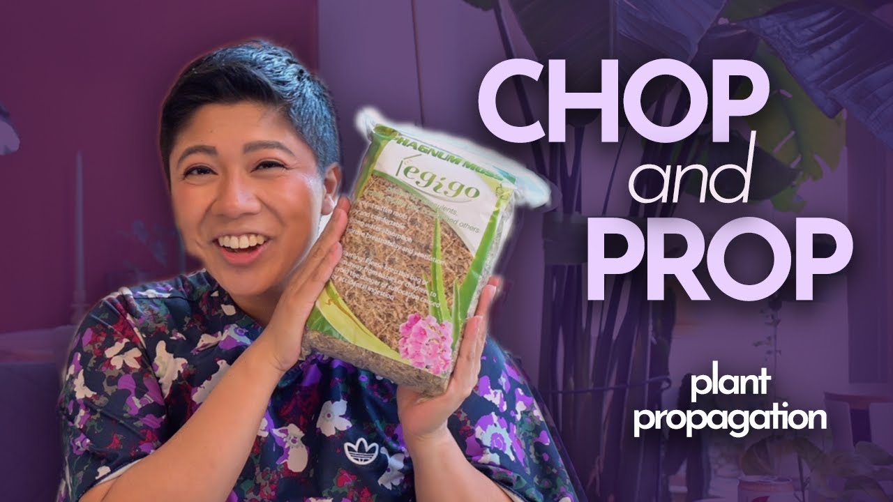 CHOP and PROP with me | Plant Propagation 101