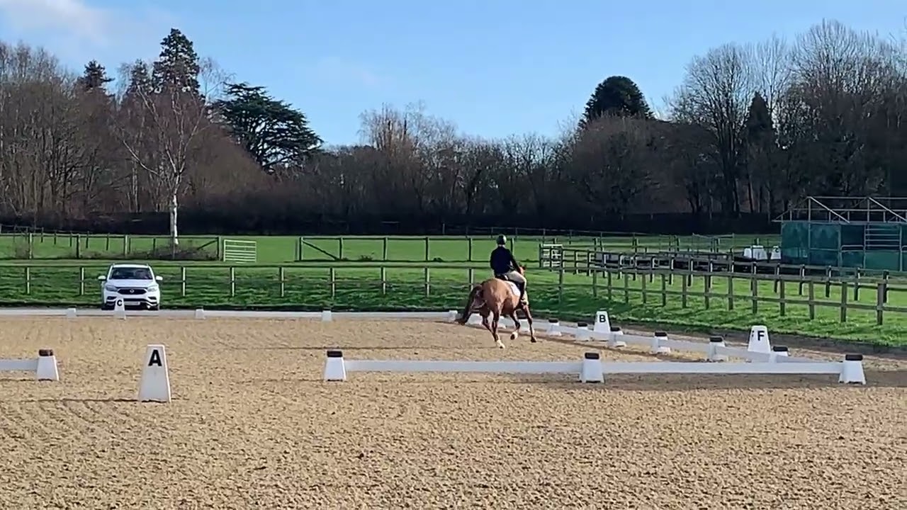 Sillan Clementine Combined Training BE80 Felbridge Showground 24.01.26