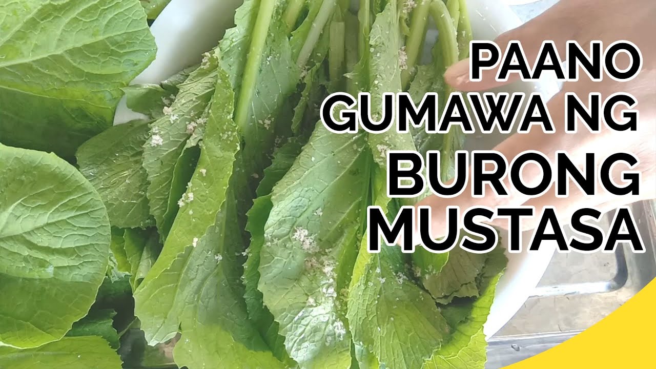 PAANO GUMAWA NG BURONG MUSTASA | How to Make Pickled Mustard Leaves