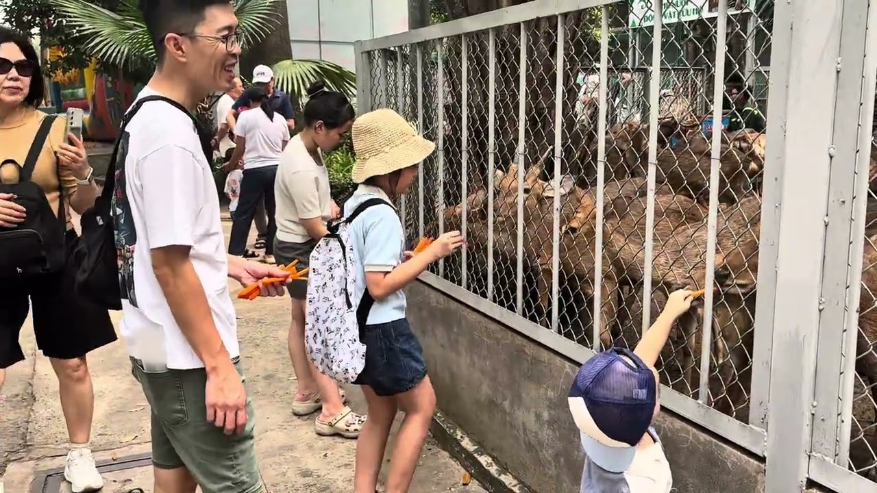 Thảo Cầm Viên 12/2025