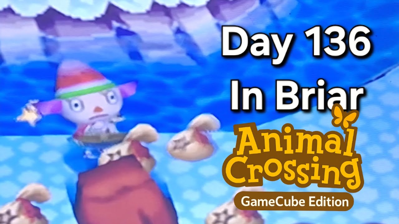 Animal Crossing GameCube – Day 136: Slow Errands, a Tiny Snowman, and the Missing Money Rock