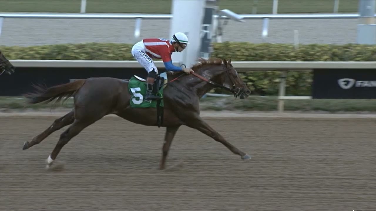 Gulfstream Race 11 - 07 FEB 2026