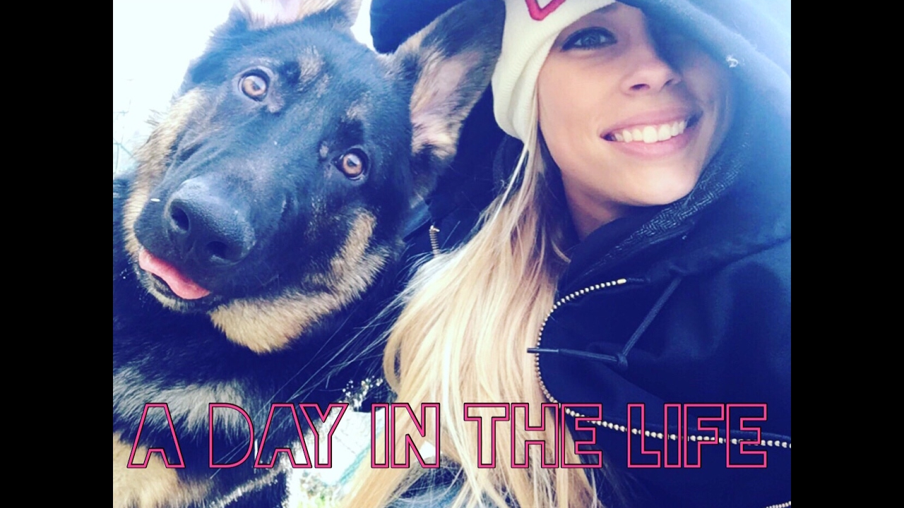 A Day In The Life