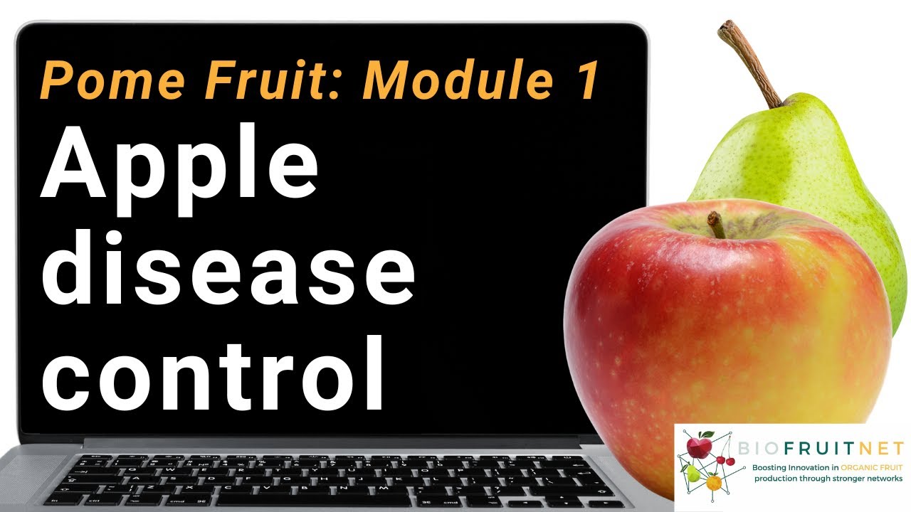 Pome fruit module 1: Apple disease control
