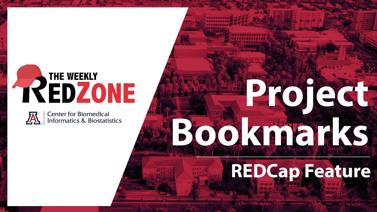 REDZone - Закладки проекта