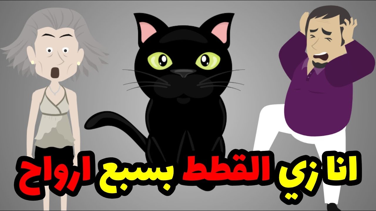 قطه غيرت حياتي و خلتني زيها ب ٧ ارواح  - قصة اغرب من الخيال