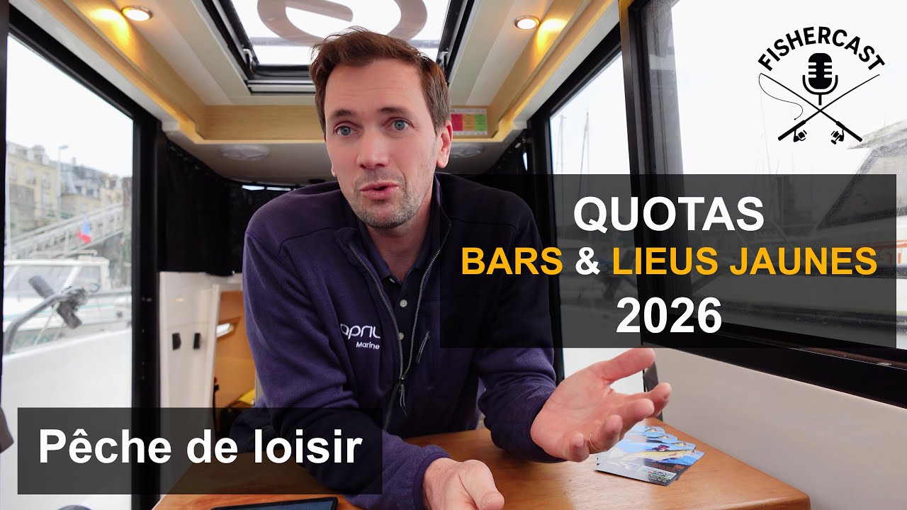 Exclusif 🔥 quotas 2026 bars et lieus jaunes de pêche loisir 🤗 De bonnes nouvelles à découvrir