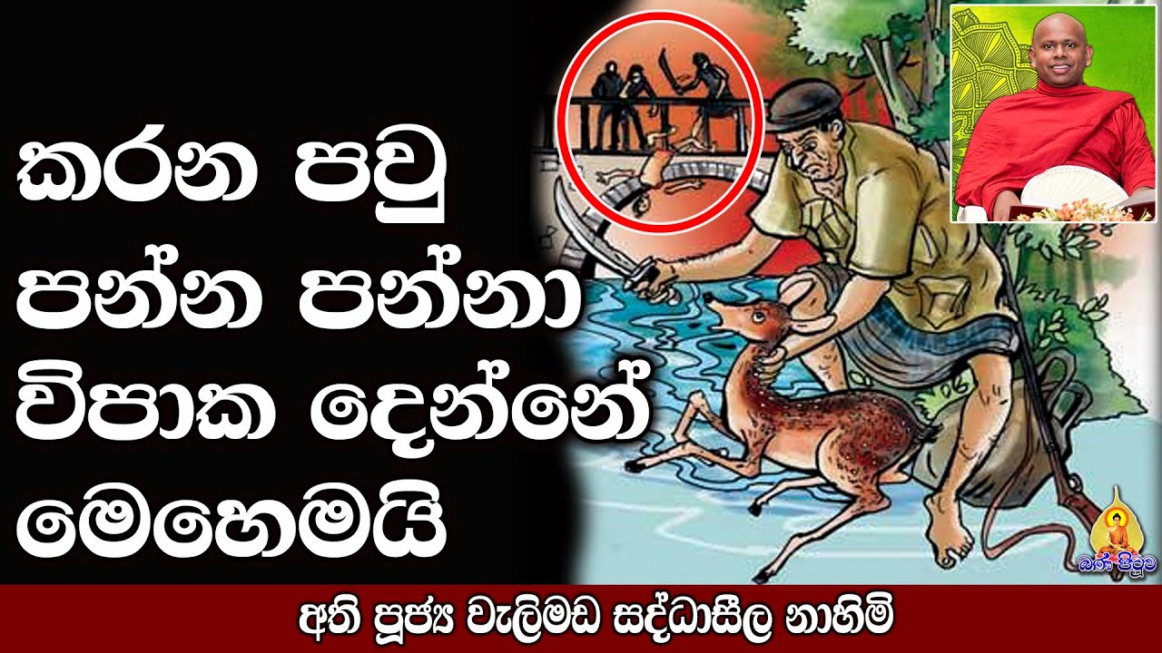 කරන පවු පන්න පන්නා විපාක⁣ දෙන්නේ මෙහෙමයි | welimada saddhaseela thero | bana | budu bana
