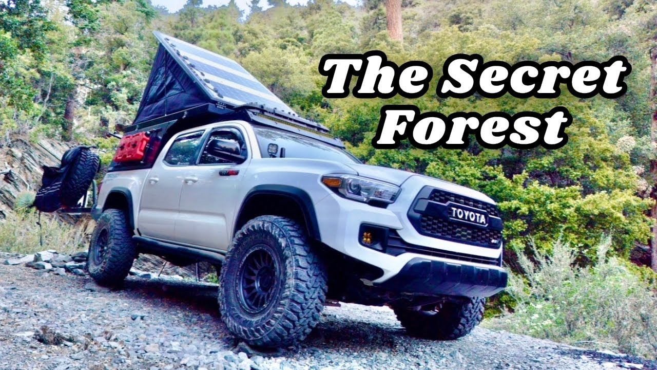 Finding EPIC Camping Spots | San Bernardino National Forest