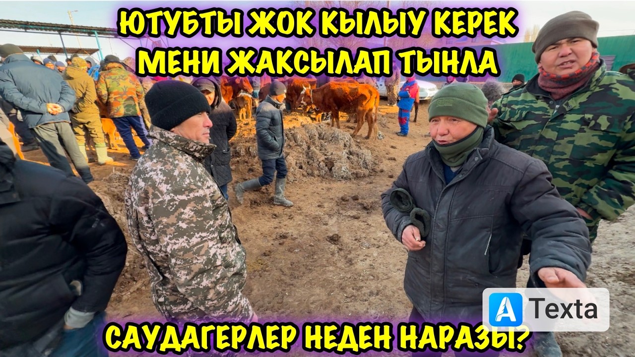 1-МАРТ/2026/ШЫМБАЙ МАЛ БАЗАРЫ/МАЛ БАЗАР 2026/ДЕМ БЕРМЕС МАЛ БАЗАР/СКОТНЫЙ РЫНОК
