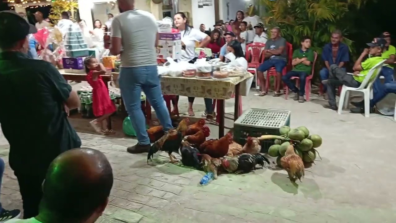 Leilão da novena da casa da dona florzinha município de olho d'Água das flores Alagoas