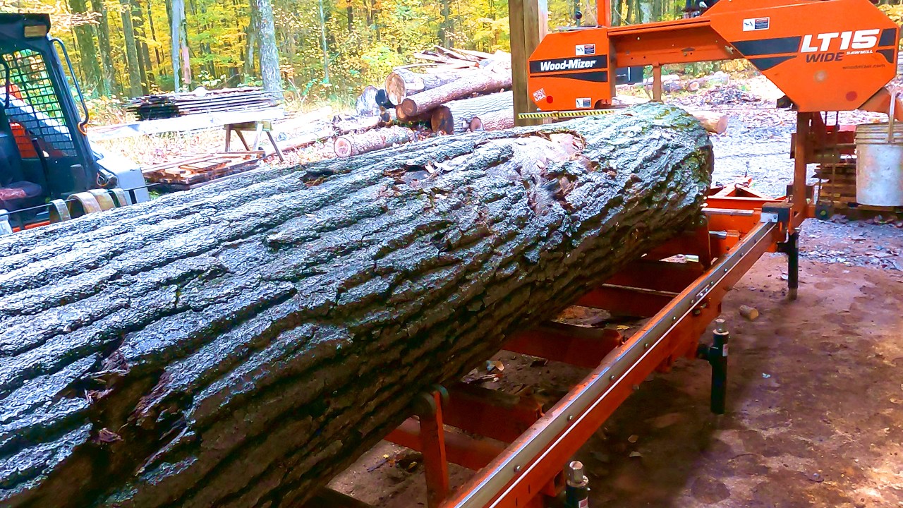Sawing a Spiral Cracked Oak Log